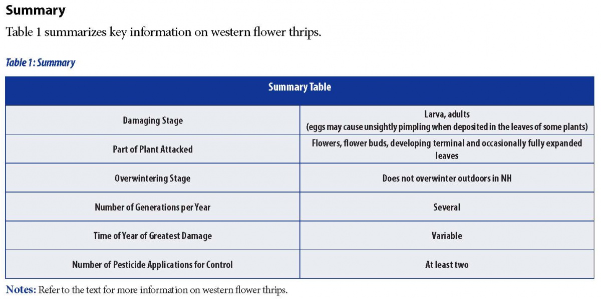 Ten Facts About Thrips