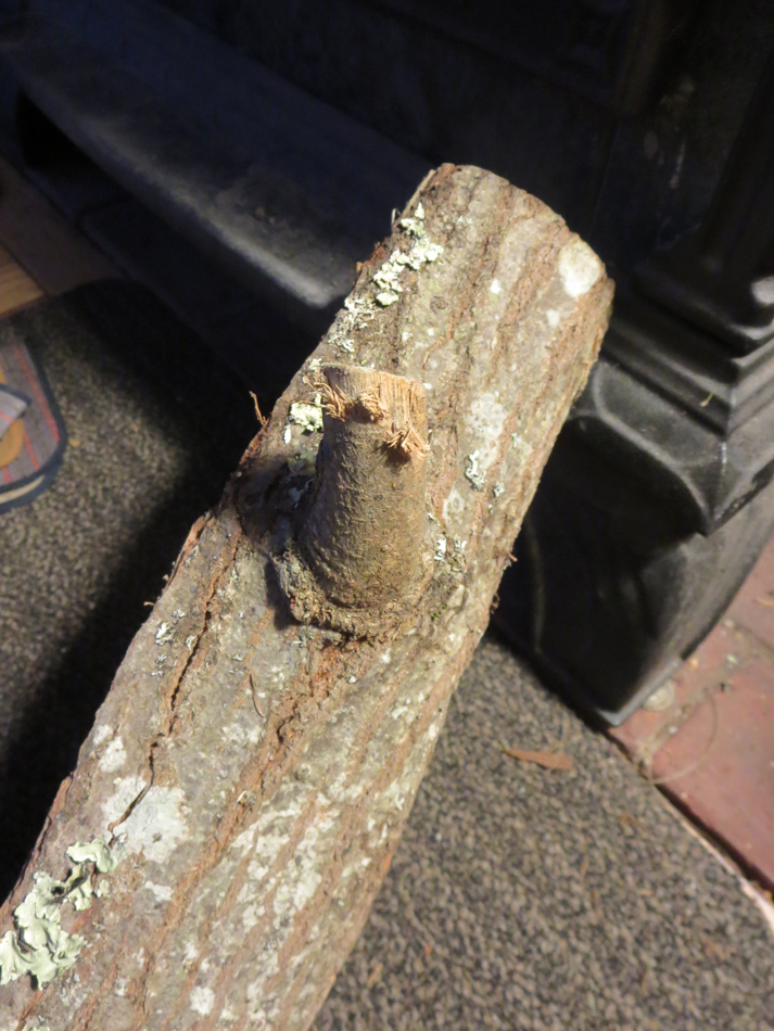 Chunk of firewood