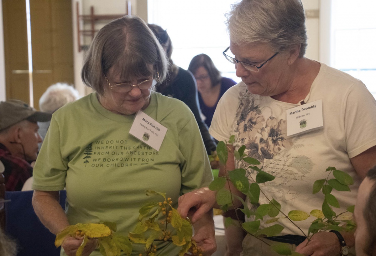 Workshop participants identify invasive plants