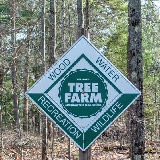 tree farm sign