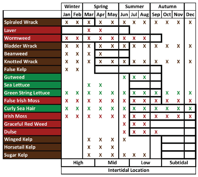 Table of NH common seaweed seasonality and location