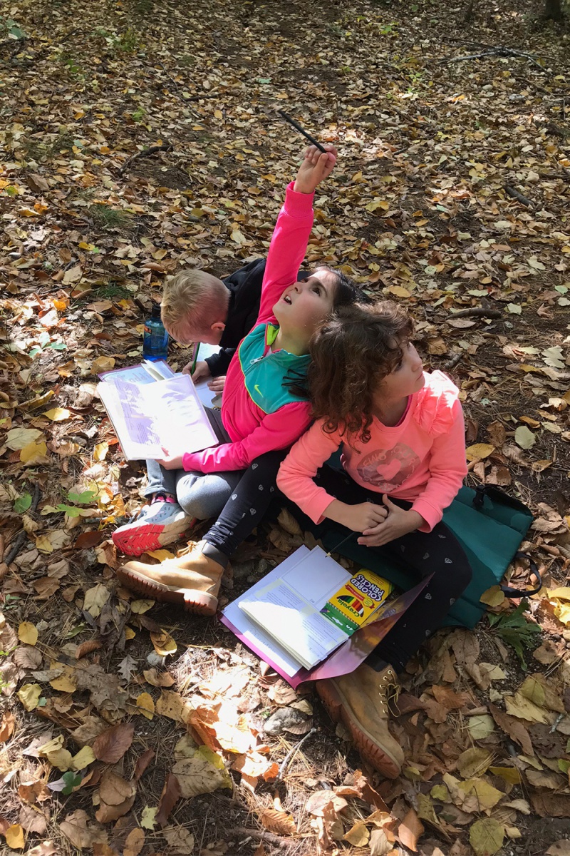 Students explore the canopy of a forest