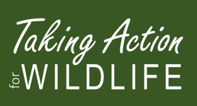 Taking Action for Wildlife logo