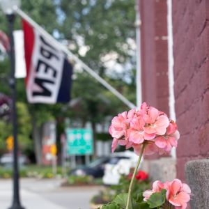 Flower in front of Open sign