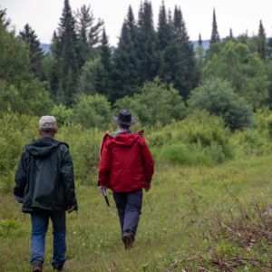 Two people walking in the forest