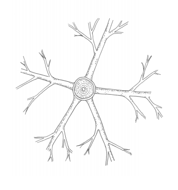 Radial branch spacing