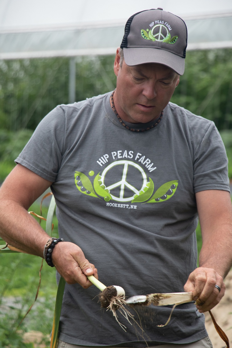 Farmer Lagueux picks garlic