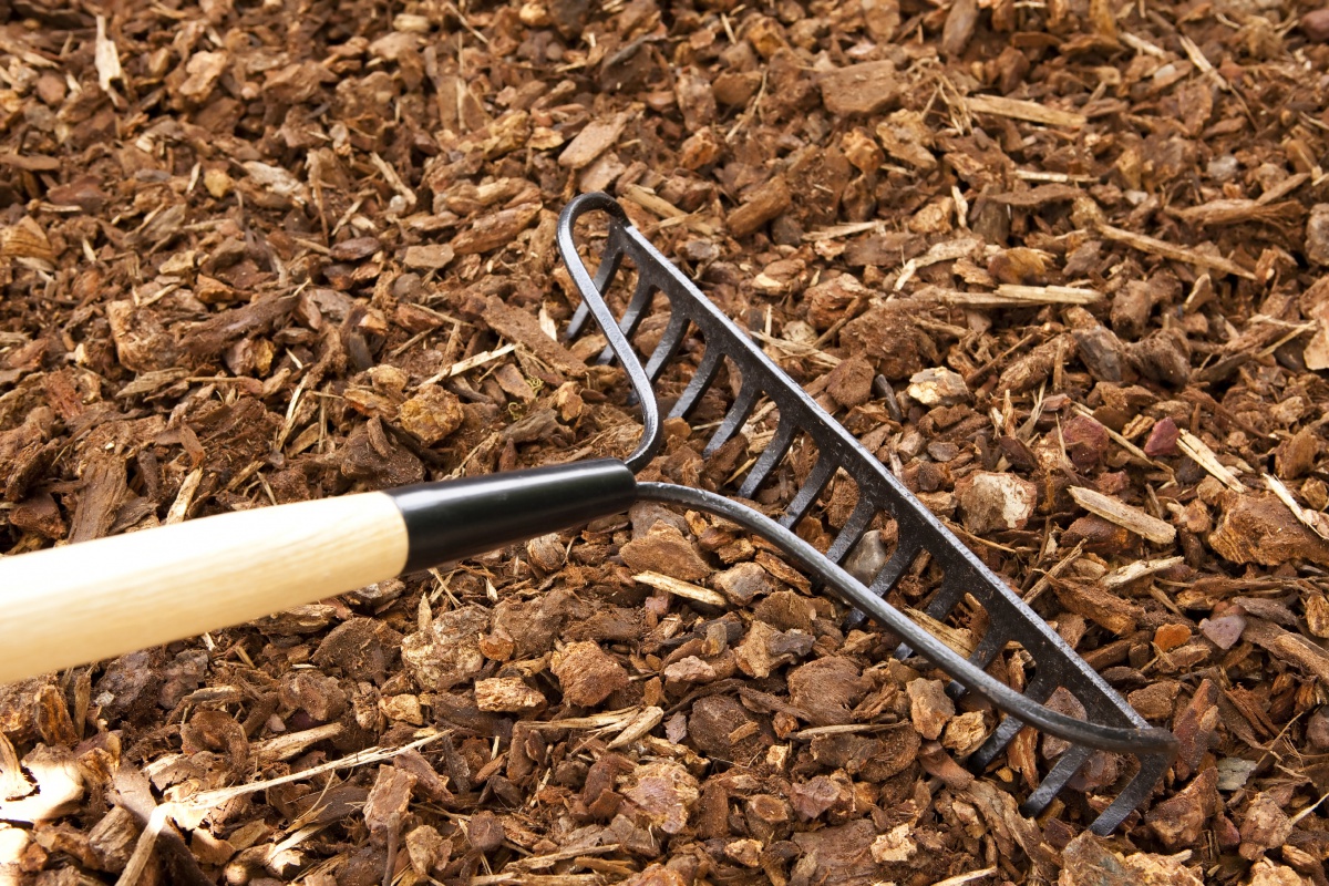 Rake on wood chips