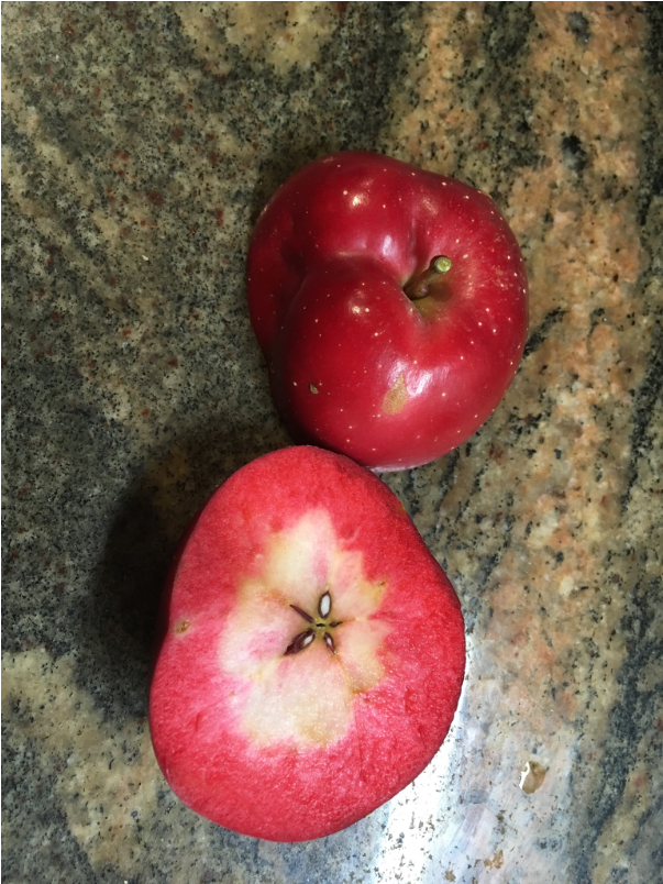 redfield apple