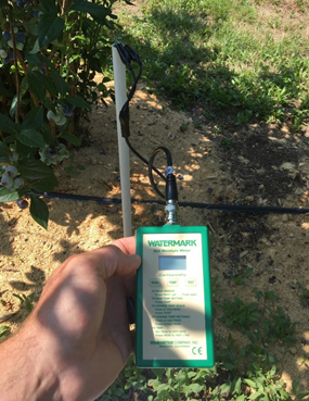 handheld soil tester