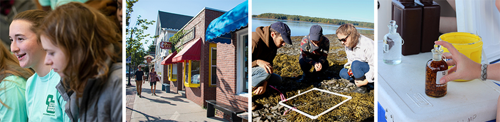 Extension volunteer programs various photo - downtowns, 4-H'ers, Coastal Research volunteers, Lakes lay Monitoring