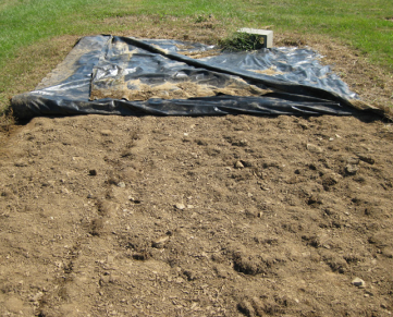 clean seed bed