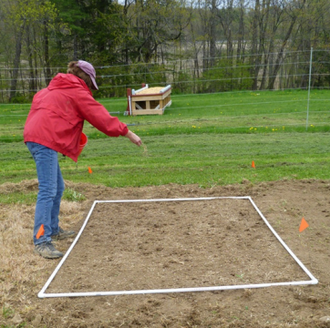 Planting for Pollinators: Establishing a Wildflower Meadow from Seed [fact  sheet]