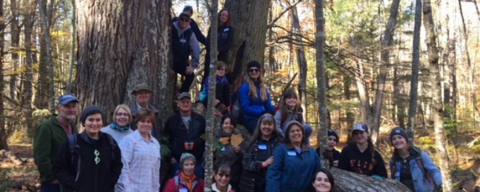 group of volunteers in the woods