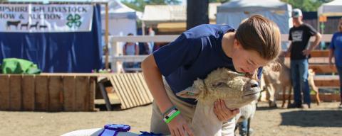 girl kissing lambs head at auction