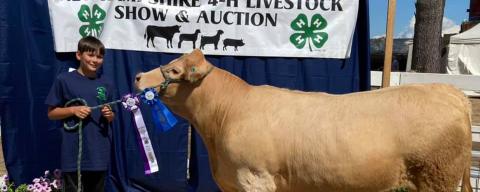 boy with steer winning ribbons