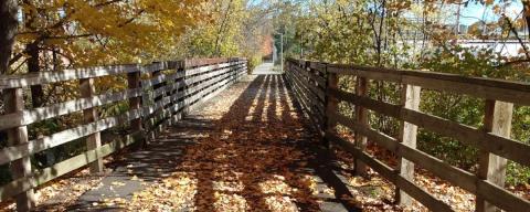 Bridge with leaves in fall