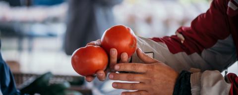 tomatoes at market