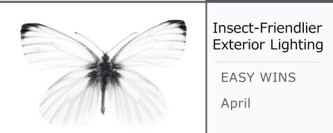 Insect Friendlier Exterior Lighting