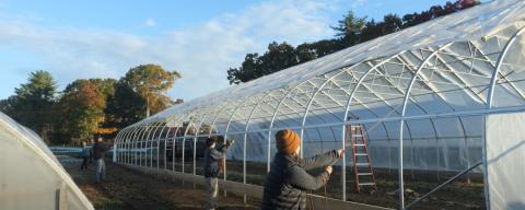three people constructing a high tunnel greenhouse in the morning