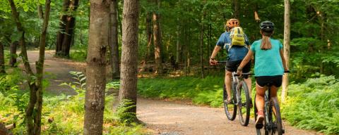 Two people riding bikes on a trail through the woods
