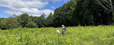 Volunteer working in a field