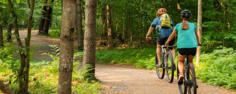 Two people riding bikes on a dirt trail through a forested area