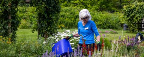 Woman holding bucket in garden of flowers