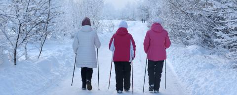 Three women walk in a forest park on a winter day with sticks in the fresh frosty air.
