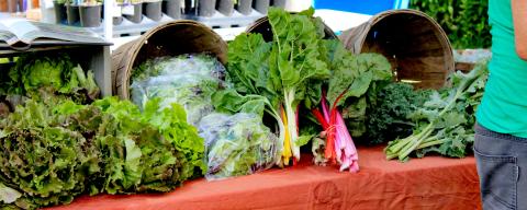 leafy vegetables on a table