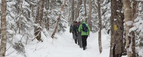 People walking through snowy woods
