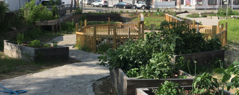 Raised beds of a community garden in Manchester