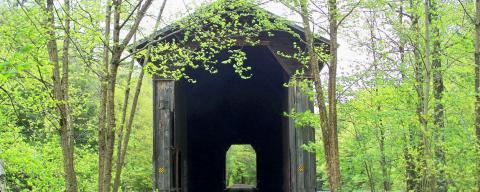 covered bridge in forest
