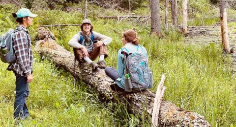 interns sitting on a log in a field