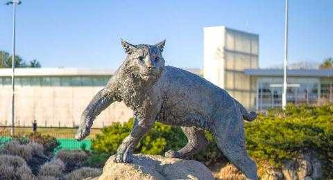 UNH Wildcat Statue