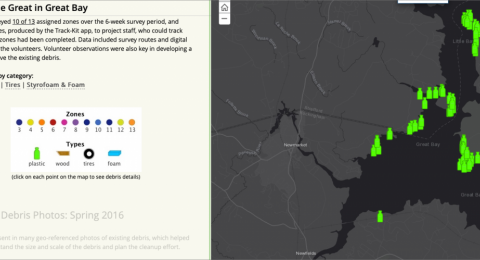 ArcGIS map