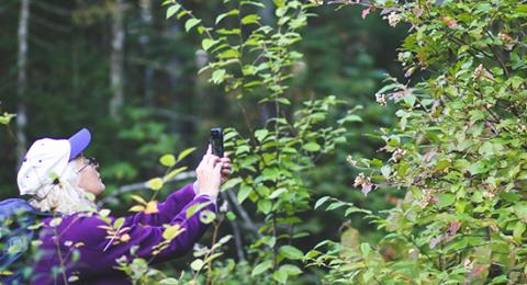 woman taking picture outdoors during NH BioBlitz iNaturalist Training