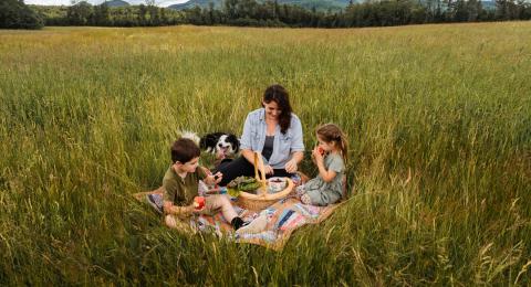Family picnic in field