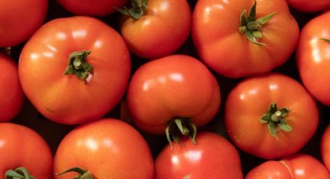 Red tomatoes