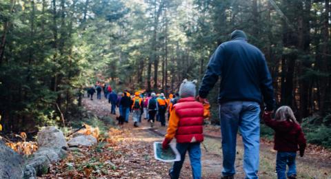 Volunteers walking through the woods