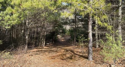 trailhead