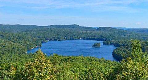 topview of lake in wooded area