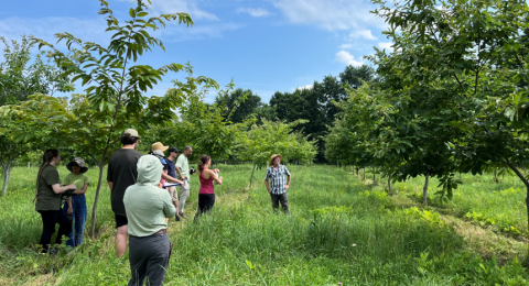 seven students listening to a teacher an stand of trees