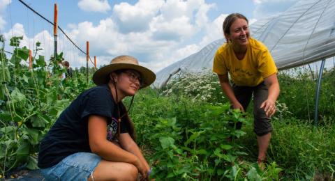 two women in a garden plot
