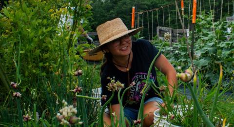 intern in garden plot