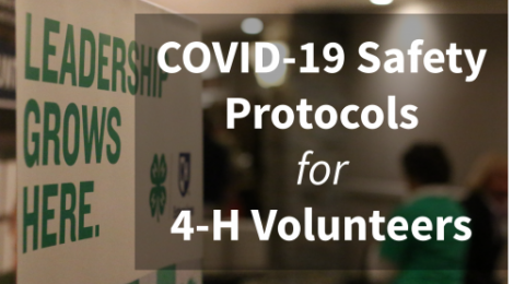 COVID-19 safety protocols for 4-H volunteers graphic