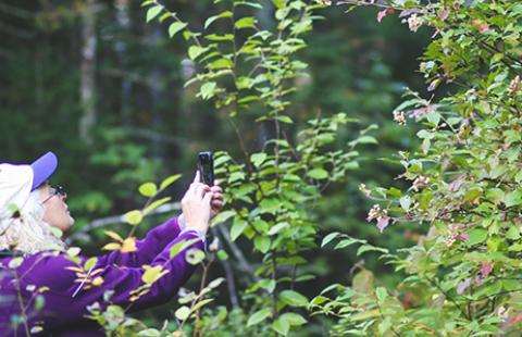 woman taking picture outdoors during NH BioBlitz iNaturalist Training