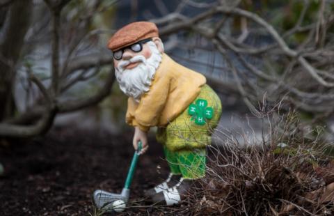 4-H golf mascot