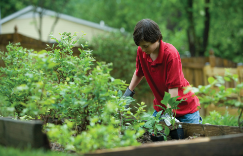 child working in a garden