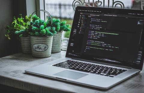 Laptop with coding screen next to succulent plants